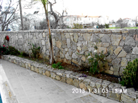 Neolithic Stones Photo 